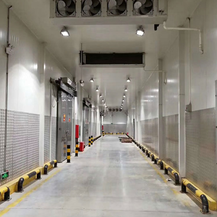 冻库安装 冻库销售 生产建造设计 小型冻库