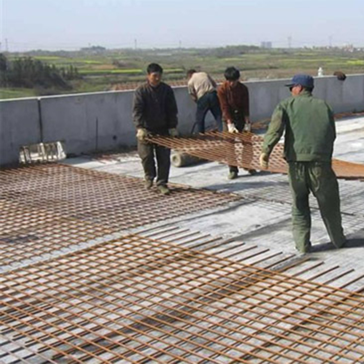 工地建筑网片 带肋钢丝网 承接工程项目 加粗加固抗裂