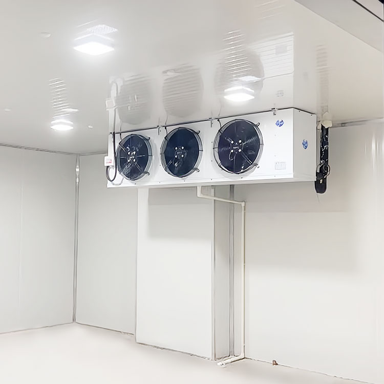 速冻冷藏保鲜库 冻库厂家 凌锐成都移动冷冻库