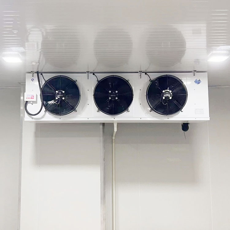 速冻冷藏保鲜库 移动冷冻 冻库凌锐制冷批发