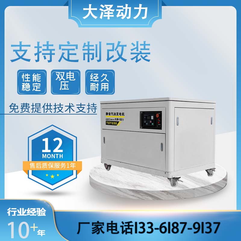大泽动力汽油发电机 TOTO10-Y  10kw汽油发电机重量轻