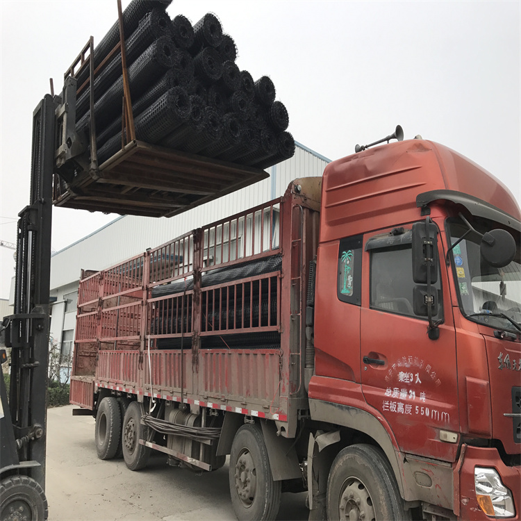 双向塑料土工格栅 厂家直供