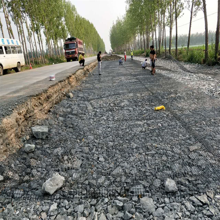 双向塑料土工格栅 专业厂家