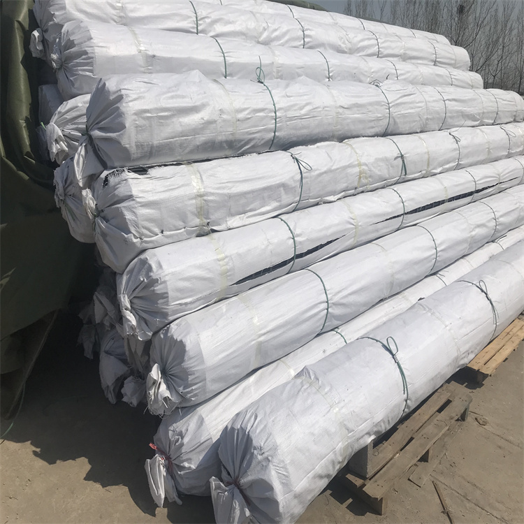 PP土工格栅 生产厂家