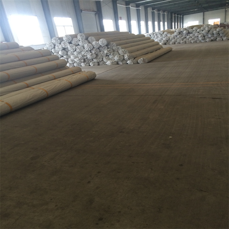 玻纤土工格栅 精选厂家