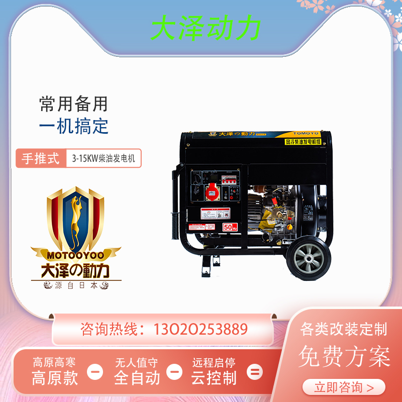 小型便携式3KW柴油发电机TO3800ET-G大泽动力