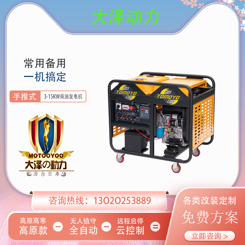 大泽动力10KW柴油发电机