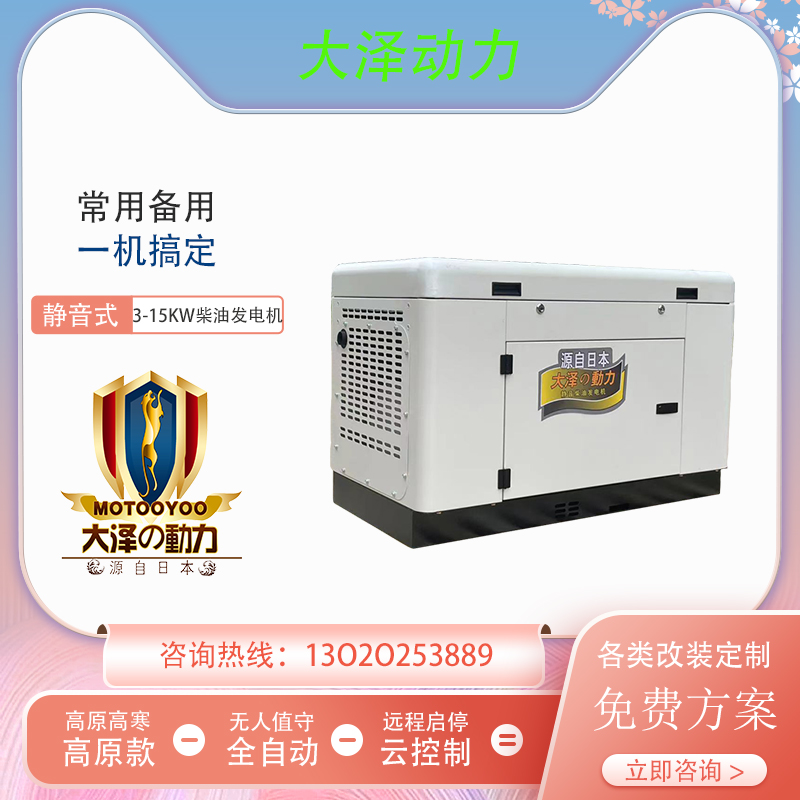 大泽动力10KW静音柴油发电机