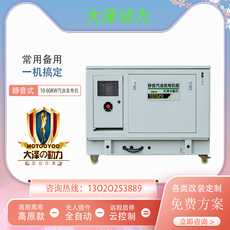 10KW静音汽油发电机 大泽动力TOTO10