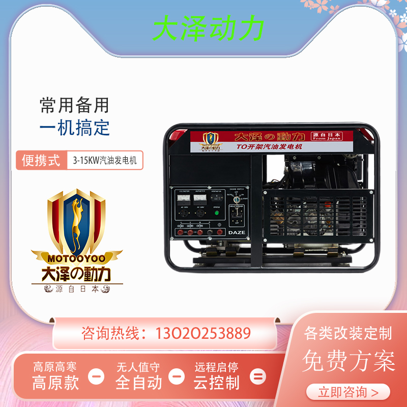 大泽动力10KW汽油发电机