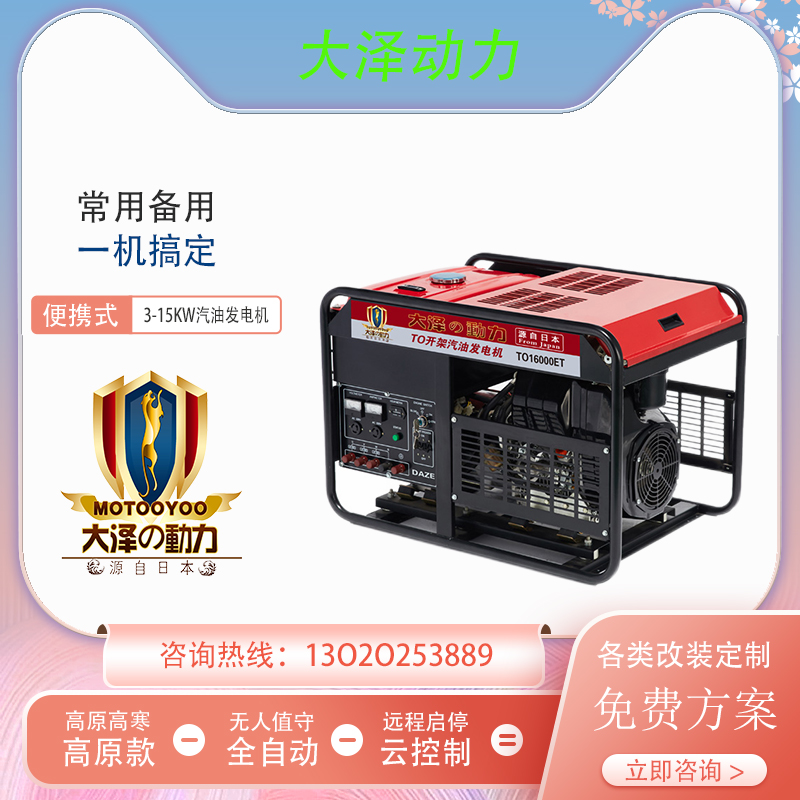 10KW汽油发电机 大泽动力TO11000ET