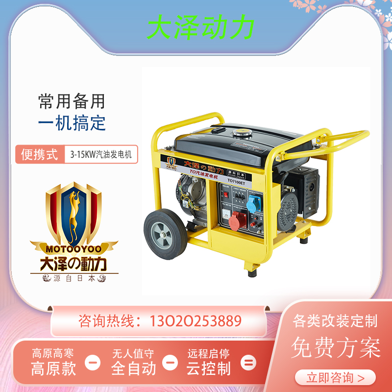 大泽动力3KW汽油发电机