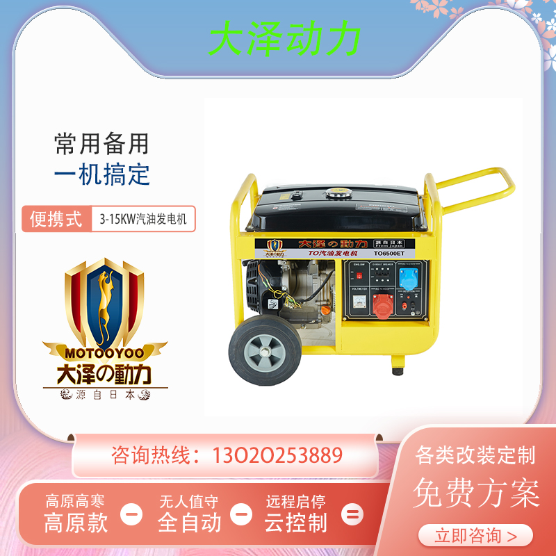 小型便携式3KW汽油发电机TO3200ET-G大泽动力