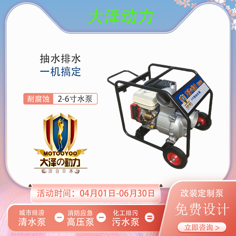 6寸柴油水泵 大泽动力TO60EW-G