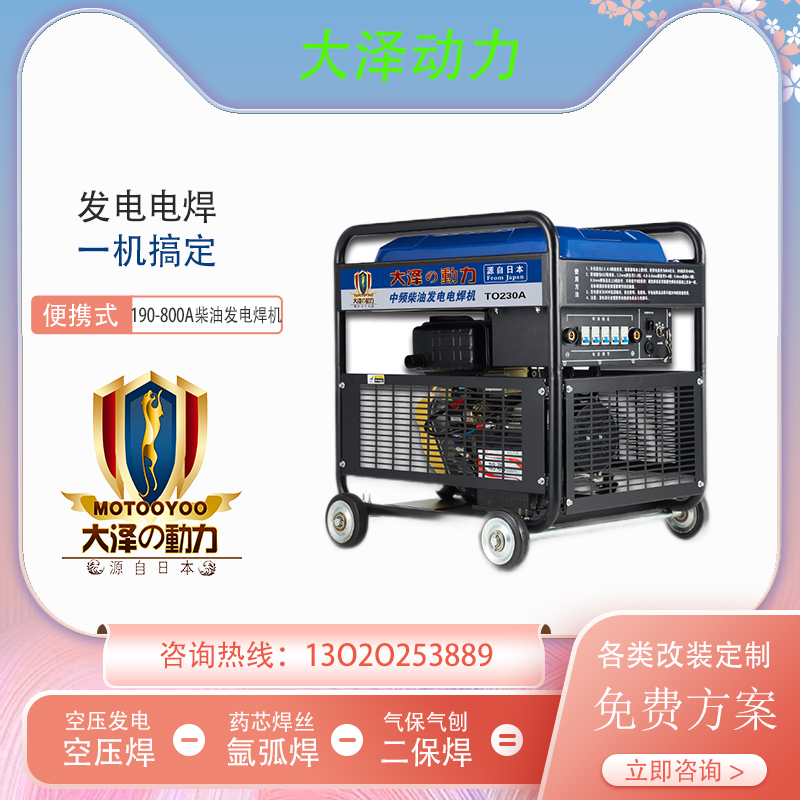 230A柴油发电电焊机 大泽动力TO230A