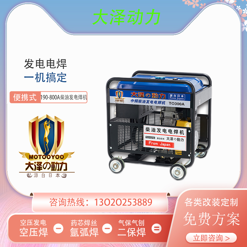 300A柴油发电电焊机 大泽动力TO300A