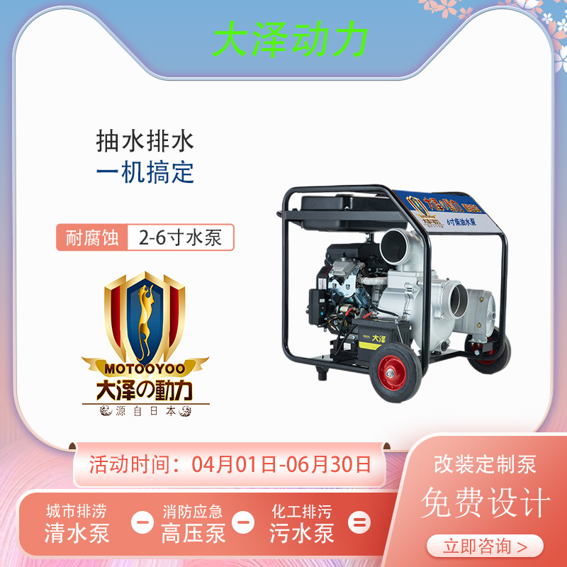 大泽动力6寸柴油水泵TO60EW-G