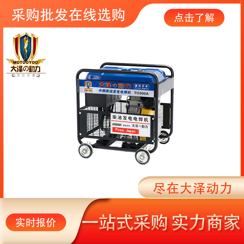 大泽动力300A柴油发电电焊一体机