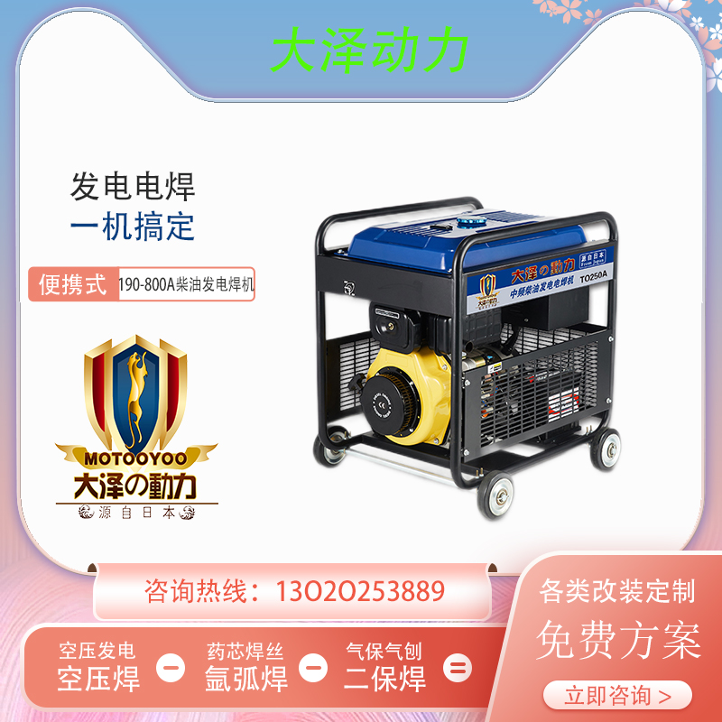 250A柴油发电电焊机 大泽动力TO250A