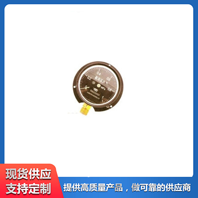船用压力表 泉君仪表专业设备厂家生产