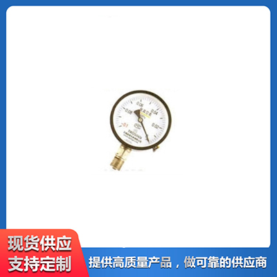 YA氨用压力表 泉君仪表专业设备厂家生产