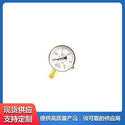 氧气压力表 乙炔压力表 氢气压力表 TN耐震压力表 泉君仪表生产供应 工业设备 源头厂家