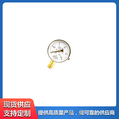 氧气压力表 乙炔压力表 氢气压力表 TN耐震压力表 泉君仪表专业设备厂家生产