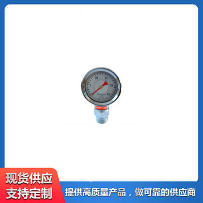 不锈钢隔膜压力表 泉君仪表专业设备厂家生产