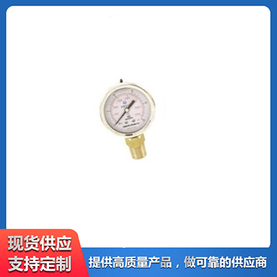 一般压力表 泉君仪表供应 质量有保障