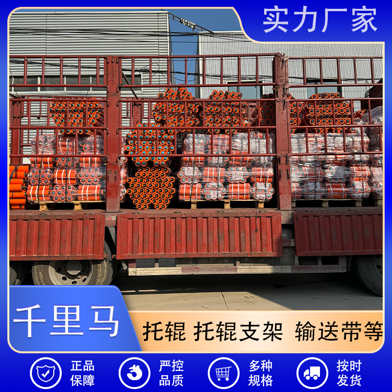 千里马 防尘防水托辊厂家直销 按需定制 质量保障