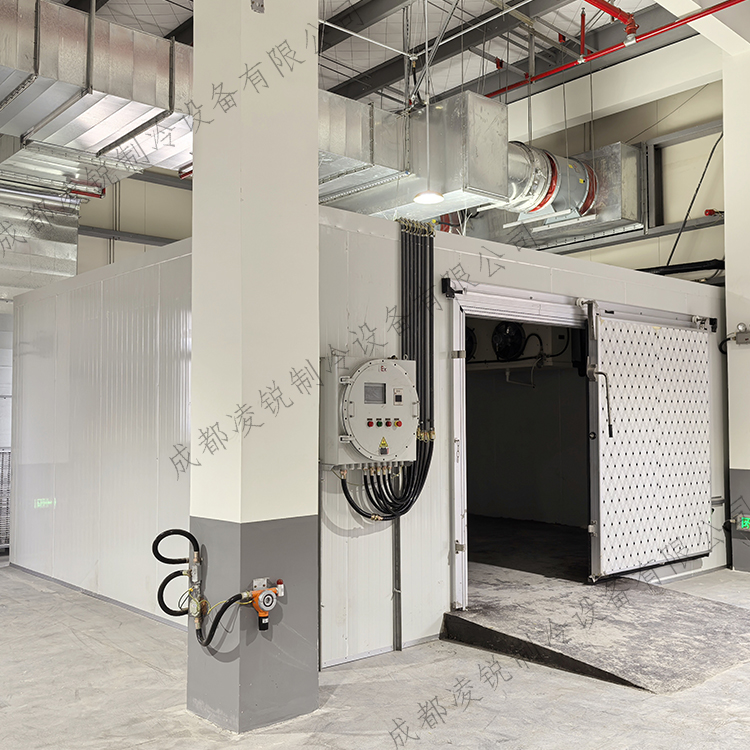 防爆冷库工程 冷风机 定制安装 速冻处理