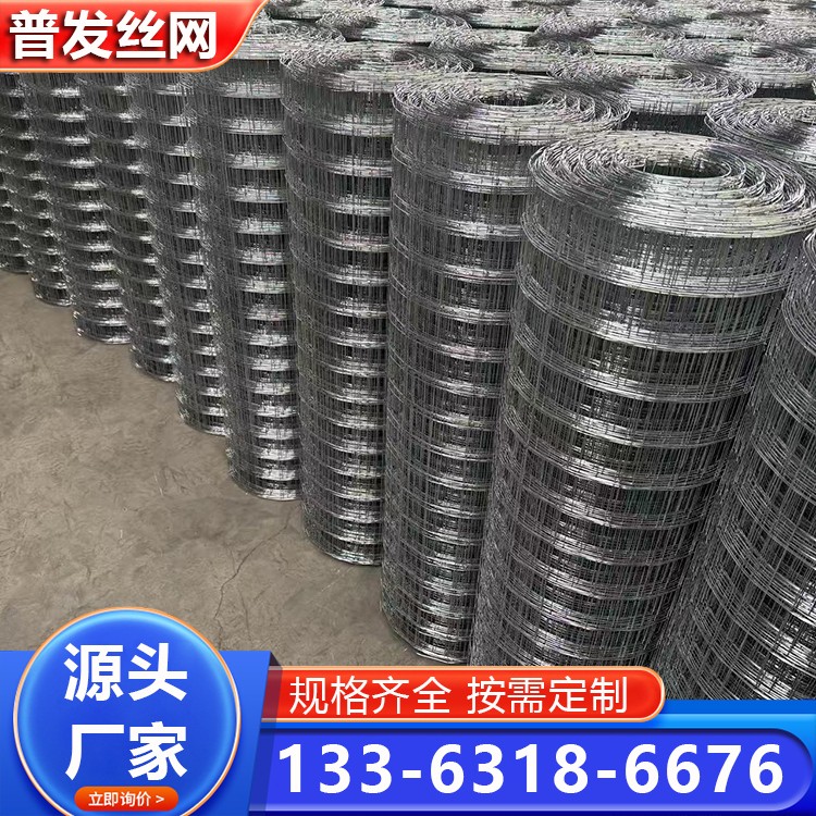 电焊网建筑镀锌铁丝网不锈钢网片 内外墙面抹灰钢丝网