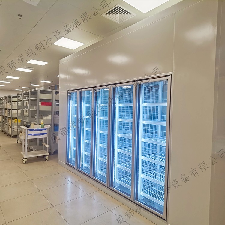 批发后补式医药冷库 高效节能运行稳定 凌锐制冷