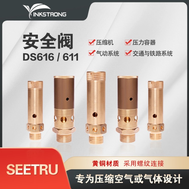 SEETRU安全阀 ds611 专为压缩空气或气体设计 黄铜、不锈钢