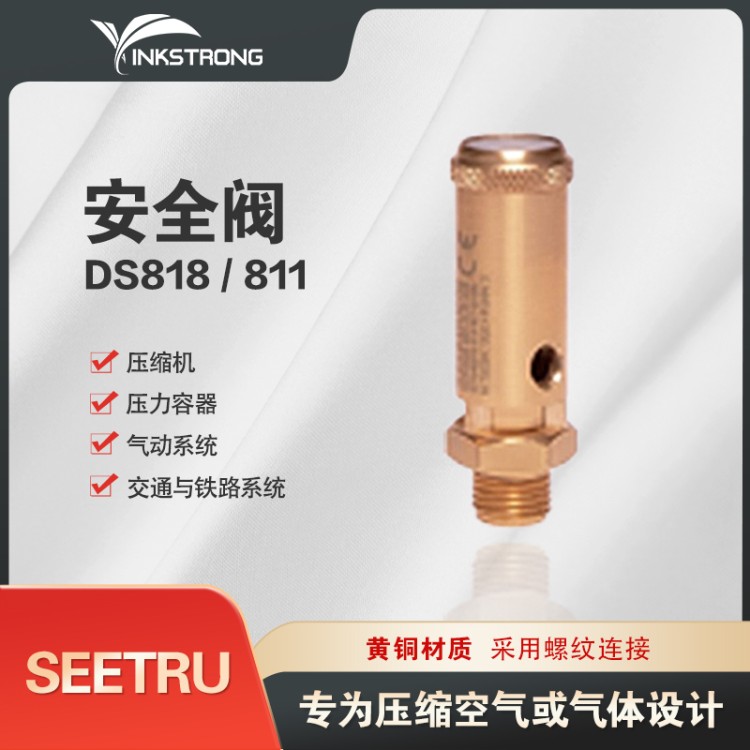 压力容器应用SEETRU安全阀 ds811 黄铜材质