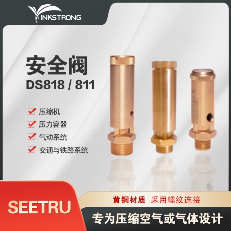 交通与铁路系统应用SEETRU安全阀 ds818 黄铜材质