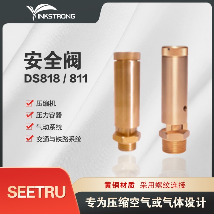 气动系统应用SEETRU安全阀 ds818 黄铜材质 采用螺纹连接