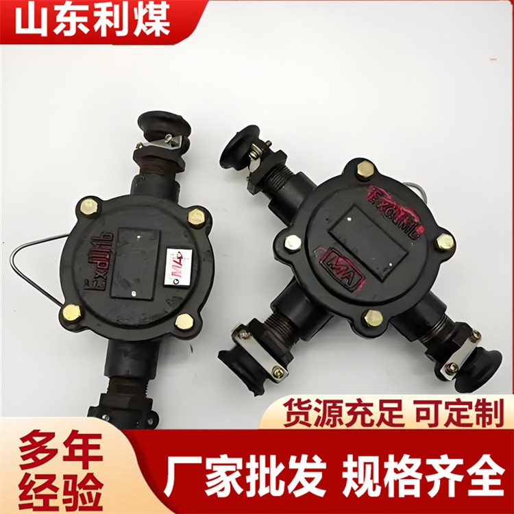 低压电缆接线盒 电线电机接线设备 多年行业经验