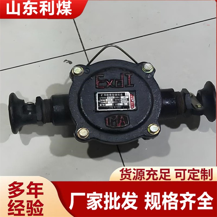 低压电缆接线盒二通接线盒BHD2-400/1140（660）-2T矿用隔爆型低压电缆接线盒