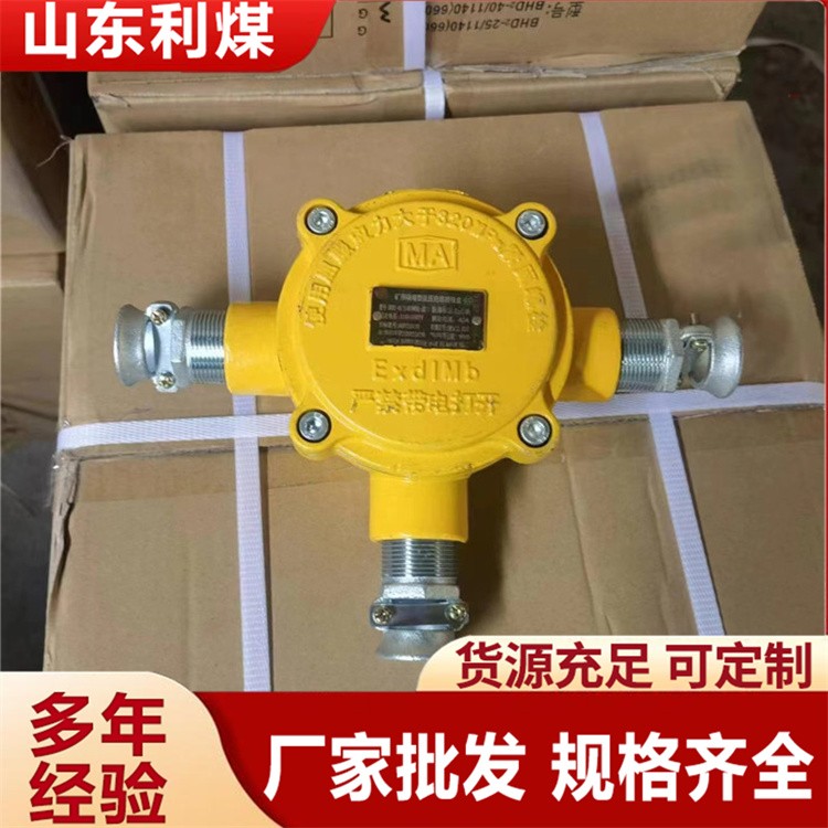 低压电缆接线盒 BHD2-40/1140(660)-3G矿用铸钢接线盒隔爆型低压电缆串线盒