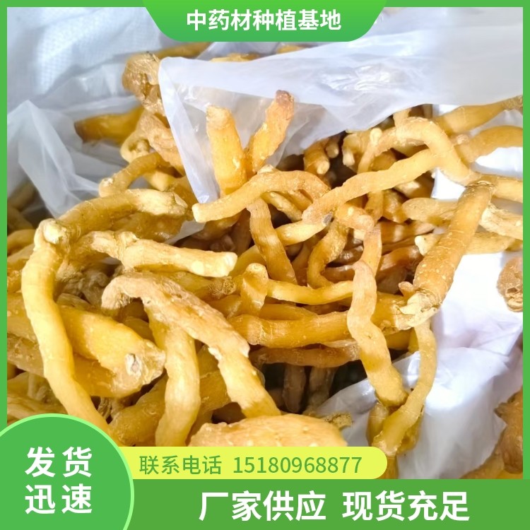 玉竹片 批发价格 基地直销