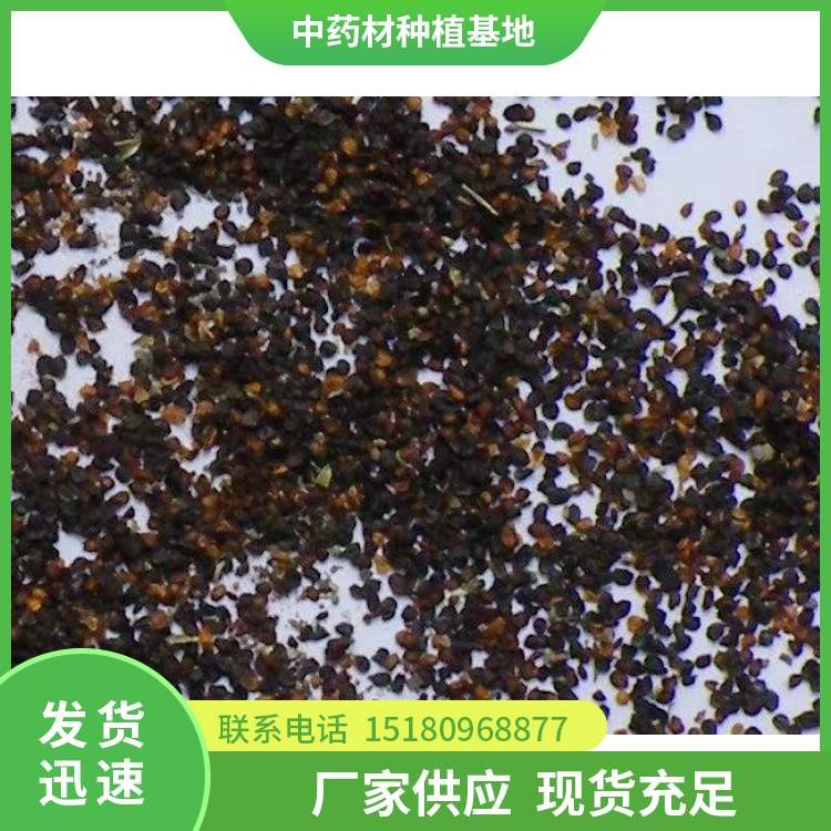 桔梗种子 批发厂家 基地直销