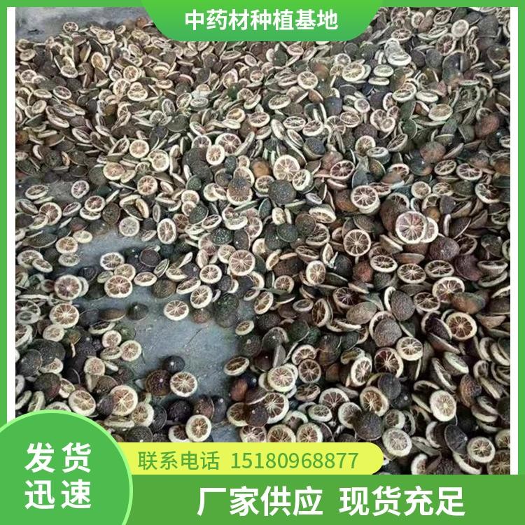 枳壳种苗 批发电话 种植基地批发