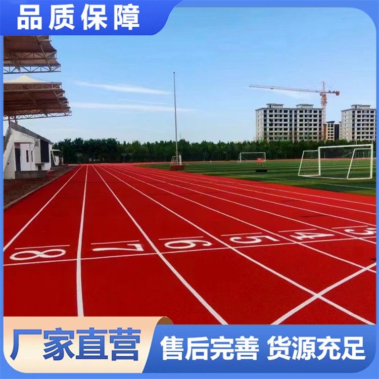 全塑型塑胶跑道 一体化成型 稳定性佳 专业运动场地铺设