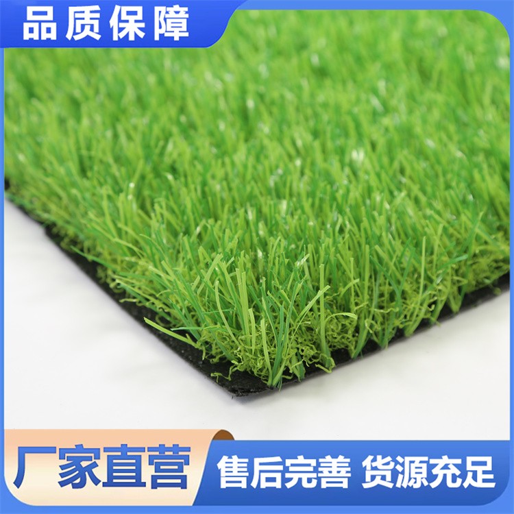 户外景观草坪 进口草种培育 耐寒耐旱 四季常青 适用多种场景