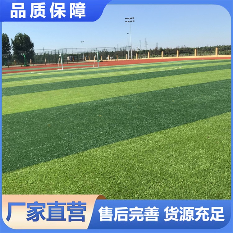 免填充足球草 柔软舒适脚感 排水迅速 快速搭建足球场必备