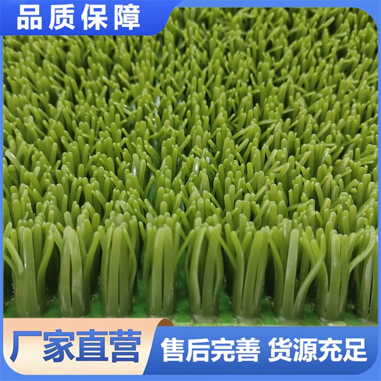 优质淘金草直销 水上淘沙金必备 增金草粘金毯 高回收率