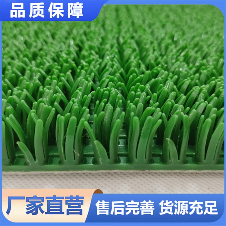 淘金草 草高可选 集金率超 95% 沙金矿专用