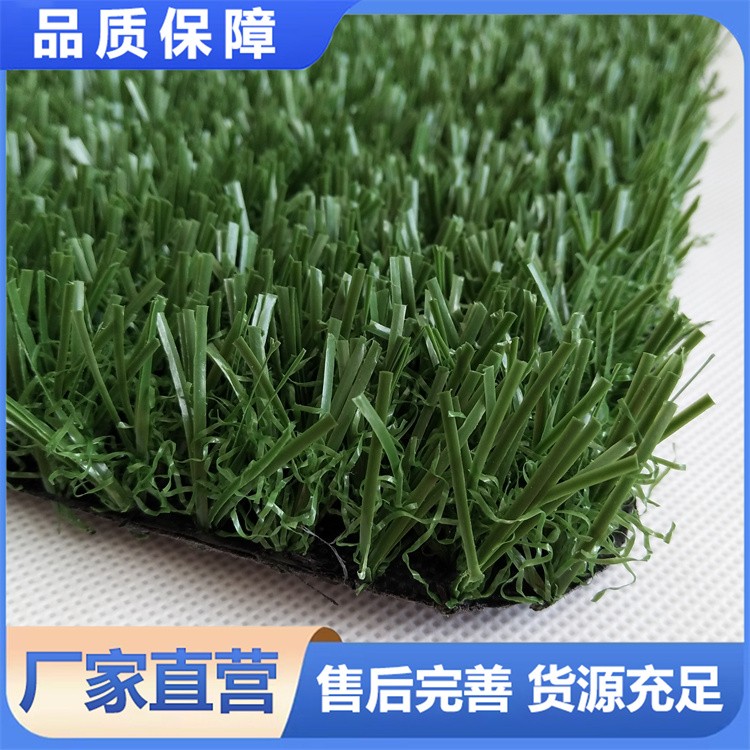 免填充足球草人造草坪 足球场专用耐磨草皮 真运动草皮定制