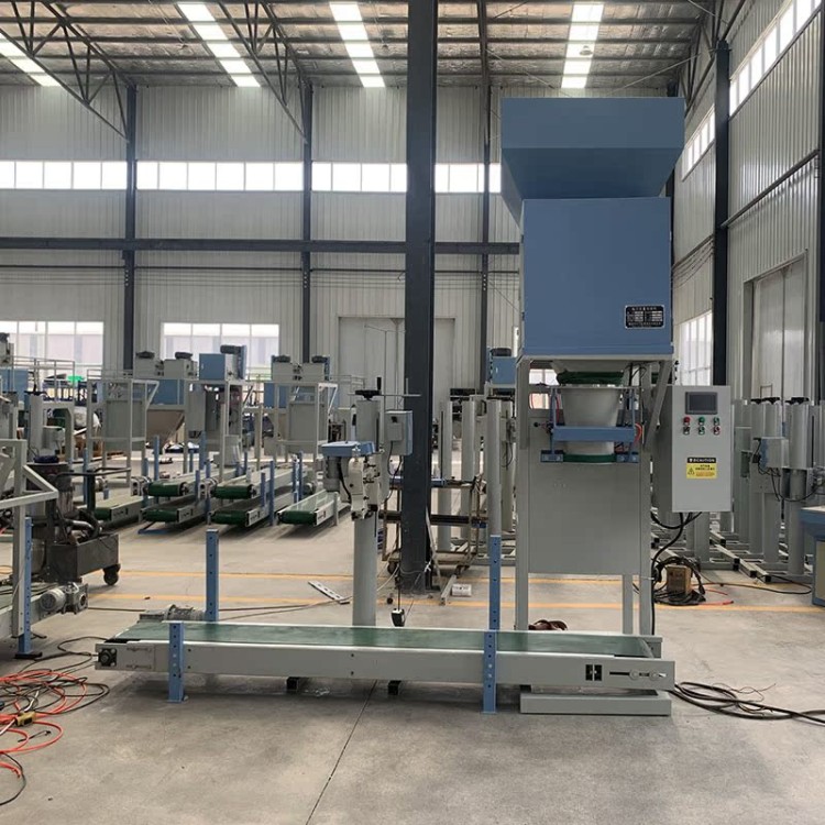 粉末灌装 速度快效率高 可按需定制 颗粒定量包装机